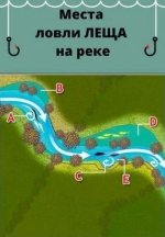 hld2xmdp.jpg