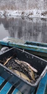 31 декабря 2025 (1).JPG