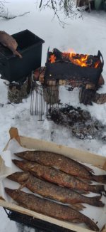 31 декабря 2025 (2).JPG