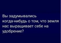 20988949.jpg
