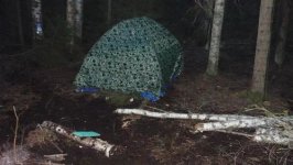 P1020185.jpg
