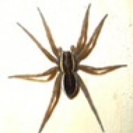 Паук