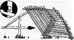 Ловушки для ловли птиц